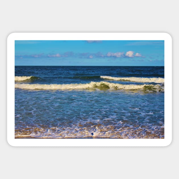 South Carolina Beach Sticker by Cynthia48